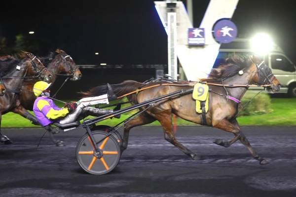 La photo de Imperatrice Vitela Arrivée Quinté+ Pmu Prix de la Ville de Fontenay-sous-Bois à Vincennes