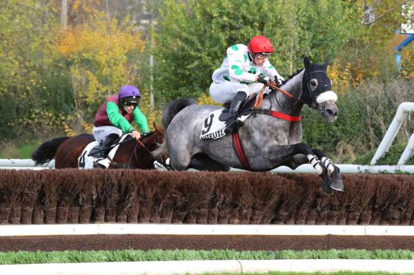 La photo de Kaadam arrivée pmu Prix Maurice Gillois Grand Steeple-Chase des 4 ans à Auteuil