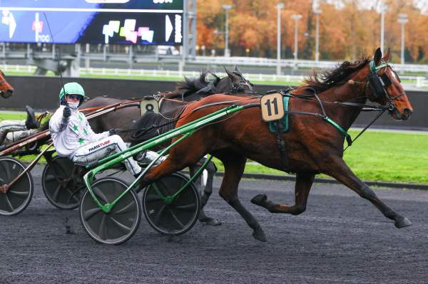 La photo de Hannibal Tuilerie Arrivée Quinté+ Pmu Prix de Montignac-Charente à Vincennes