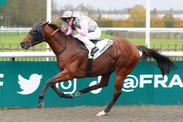 La photo de Ptit Pedro Arrivée Quinté+ Pmu Prix de Beauvais à Chantilly