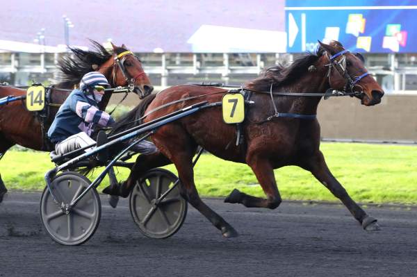 La photo de Grindelwald Arrivée Quinté+ PMU Prix Daniel Miette à Vincennes