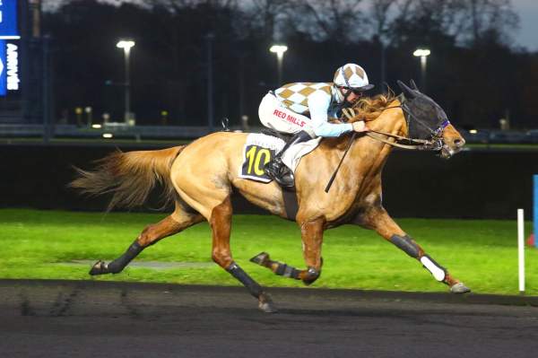 La photo de Jilanza Du Moulin arrivée pmu Prix Vibilia à Vincennes