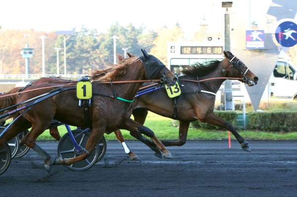 La photo de Kash Lady arrivée Quinté+ pmu Prix Mirambeau à Vincennes