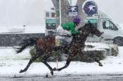 La photo de Lionheart arrivée pmu Prix Urgent (Gr.III) à Vincennes