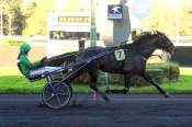 La photo de Working Class Hero Arrivée Quinté+ Pmu Prix de Bourigny à Vincennes