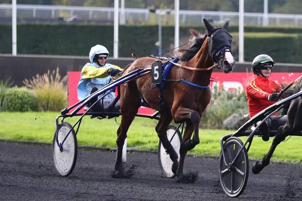 La photo de KHEOPS BOURBON