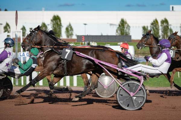 La photo de GRIGRI DU BONHEUR