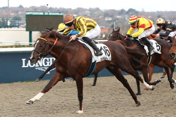 La photo de Havoc arrivée quinté+ pmu Prix du Manoir de la Salamandre à Deauville