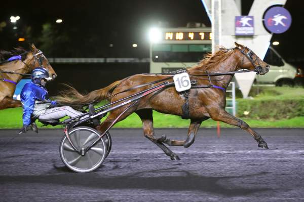 La photo de Junkies Minds arrivée Quinté+ pmu Prix Brasilia à Vincennes