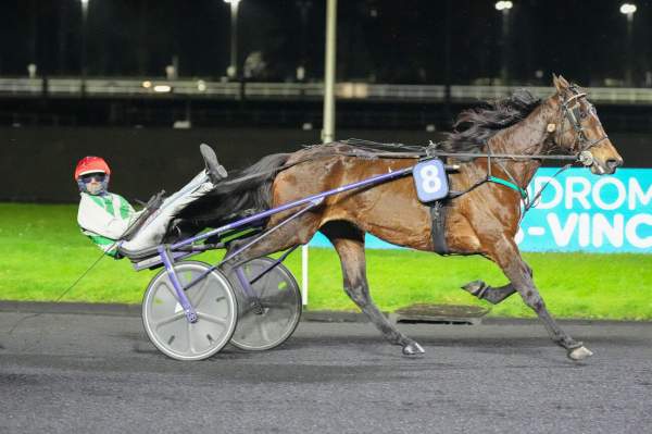 La photo de Kokote arrivée pmu Prix Ariste Hemard (Gr.II) à Vincennes