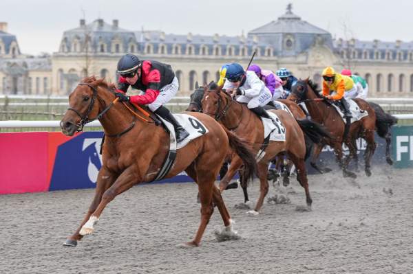 La photo de Star Rock Arrivée Quinté+ Pmu Prix de la Piste des Lions à Chantilly