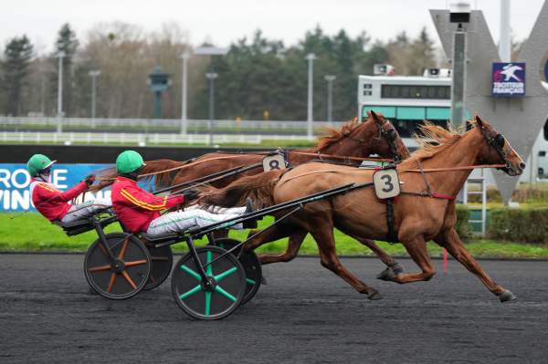 La photo de Great Tigress Arrivée Quinté+ Pmu Prix de Blanquefort à Vincennes