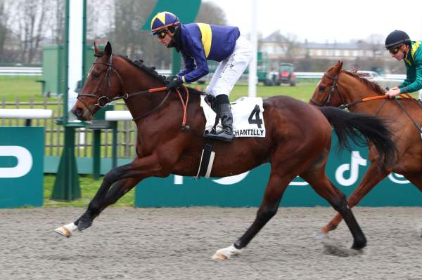 La photo de Chess Arrivée Quinté+ Pmu Prix du Jardin des Eaux Minérales à Chantilly