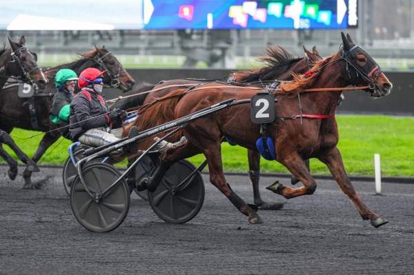 La photo de L'ETOILE D'URSIN