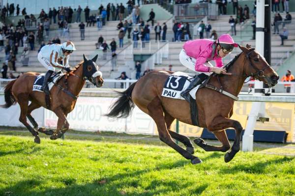 La photo de Kikounette Arrivée Quinté+ Pmu Prix Georges Pastre à Pau