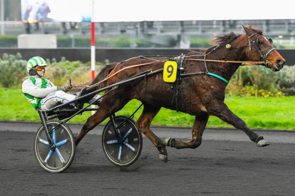 La photo de Mister Donald Arrivée Quinté+ PMU Prix de Nozay à Vincennes