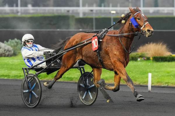 La photo de Inexess Bleu Arrivée PMU Prix de Bar-Le-Duc à Vincennes