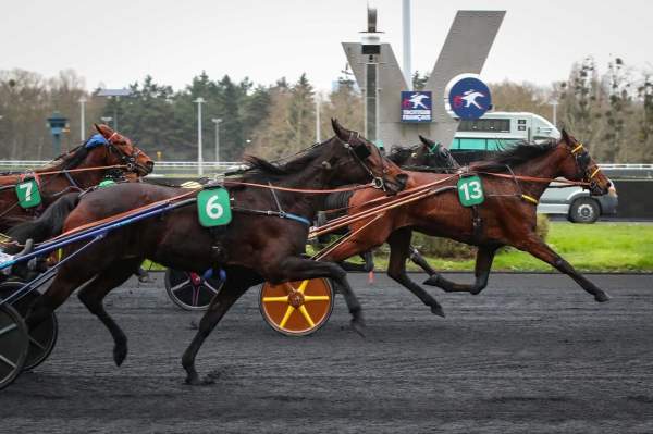 La photo de Halicia Bella Arrivée Quinté+ Pmu Prix de Poitiers à Vincennes