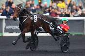 La photo de L'as Desbois Arrivée PMU Letrot Open des Régions 3 ans 2024 à Vincennes