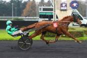 La photo de Krooner D'heripre arrivée pmu Open des Régions - 4 ans (Gr.III) à Vincennes