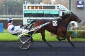 La photo de La Vista Haufor arrivée pmu Prix de Nalliers à Vincennes