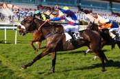 La photo de Iron Barks Arrivée Quinté+ PMU Prix Philippe Lorain à Cagnes-sur-Mer