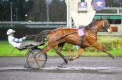 La photo de Jabiru Boy arrivée pmu Prix de Juvignac à Vincennes