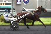 La photo de L'ile D'haufor arrivée pmu Prix de Castelsarrasin à Vincennes