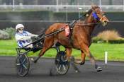 La photo de Inexess Bleu Arrivée PMU Prix de Bar-Le-Duc à Vincennes