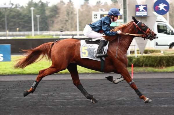 La photo de Le Voyou D'almo arrivée PMU Prix de Cholet à Paris Vincennes 