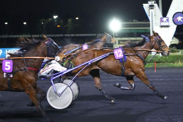 La photo de Ixelle Bleue Arrivée Quinté+ Pmu Prix André-Louis Dreux à Vincennes