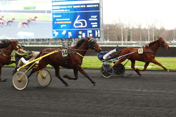 La photo de Hermes Express Arrivée Quinté+ Pmu Prix de Château-Gontier à Vincennes