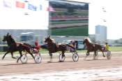 La photo de Hippodrome De Toulouse Trot Attelé