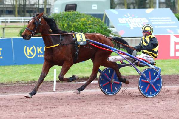 La photo de Forbach Arrivée Quinté+Pmu étape 1du Grand National du Trot 2024 à Amiens