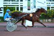 La photo de Jusseo arrivée PMU Prix de Florence à Cagnes-sur-Mer