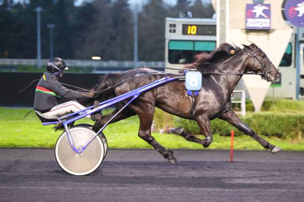 La photo de Heraldique Arrivée Quinté+ Pmu Prix Gratia à Vincennes