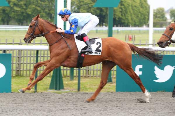 La photo de Harrison Point arrivée pmu Prix du Chemin des Poissonniers à Chantilly