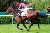 La photo de Sain D'esprit arrivée PMU Prix Champaubert à Auteuil