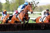 La photo de El Clavel arrivée PMU Prix Orvilliers à Compiègne