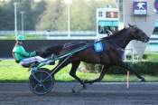 La photo de Working Class Hero arrivée Quinté+ pmu Prix d'Ariel à Vincennes