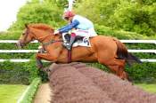 La photo de Lady Du Chenet Prix Wild Monarch des Pouliches (L) à Auteuil