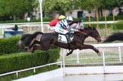 La photo de Kolokico arrivée pmu Prix René Couetil à Auteuil