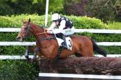 La photo de Hooligan arrivée pmu Prix Léon Rambaud (Gr.II) à Auteuil