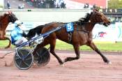 La photo de Job De Choisel arrivée pmu Prix Saint6etienne de Montluc à Cordemais