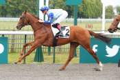 La photo de Harrison Point arrivée pmu Prix du Chemin des Poissonniers à Chantilly