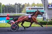 La photo de Kitts Et Nevis arrivée pmu Prix Enif à Vincennes