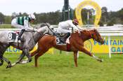 La photo de Bel Et Bien arrivée Quinté+ pmu Prix des Grandes Fontaines à Fontainebleau