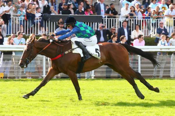 La photo de Pistache Dore arrivée pmu Prix Alan du Breil Grande Course de Haies de Printemps des 4 ans à Auteuil