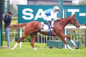 La photo de Madero arrivée pmu Prix Royal Hampton à Saint-Cloud