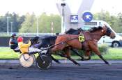 La photo de Global Agreement Arrivée quinté+ PMU Prix Bettina à Vincennes